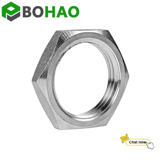 Hot Selling Stainless Steel Pipe Fittings SS304 SS316 Hose Nut for Pipeline Connection