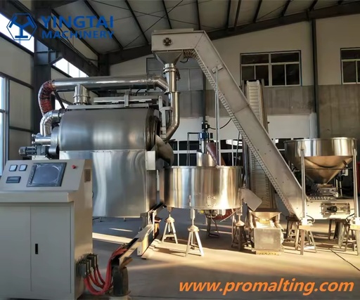 Automatic Barley Malt Roastor Machine Special Malt Roasting Equipment for Malting Companies