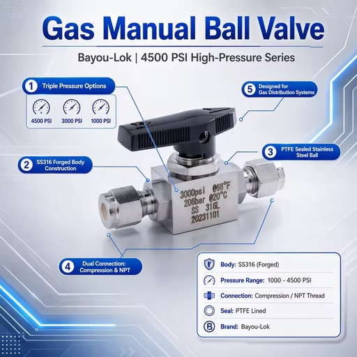 316L Stainless Steel Two-Way Ferrule Ball Gas Pressure Regulator Type for High Purity Gas Piping Laboratory Systems