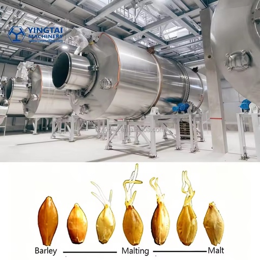 High Automatic Drum Craft Malting Equipment for Malt Producers