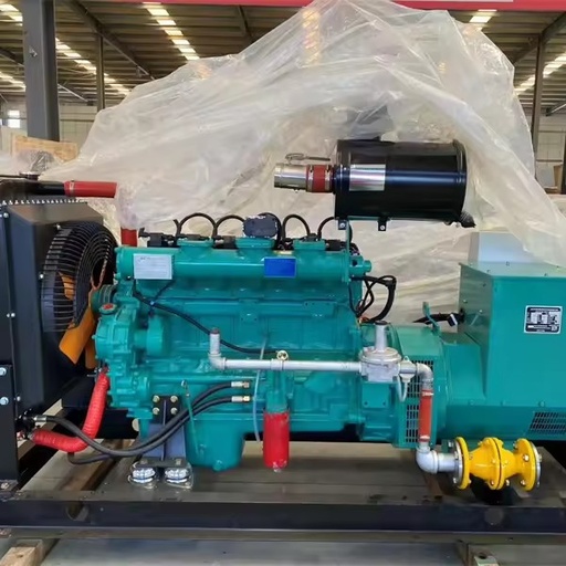 Gas Generation Equipment Gas Turbine Generators Natural Bio Gas Generator 8.5kw 15kw 30kw 200kw 100kw