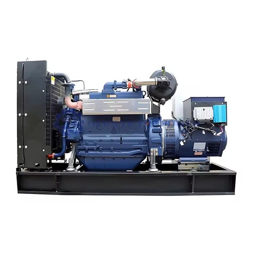 Factory Sales Directly 220KW Industrial Biogas Natural Gas Conversion Power Generator Set Auto Start Remote Start IP55 95%