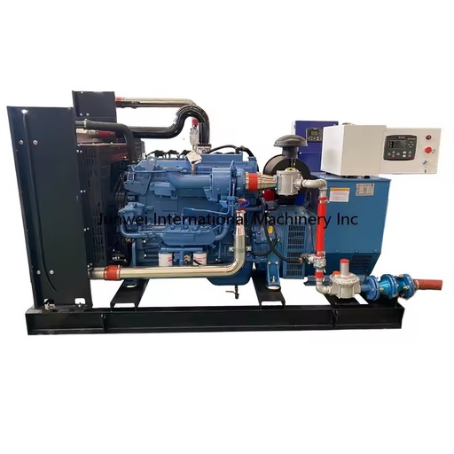 Popular Household Gas Generator 40kw Natural Gas Generator Set Best Price Biogas Liquefied Petroleum Gas Generator
