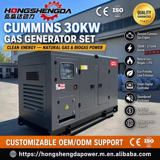 Low Noise 30kW Cummins Weichai 37kVA Natural Gas LPG Biogas Syngas Generator Open Silent DC Standby Power Unit Genset CE ISO