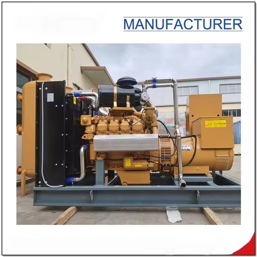 Continuous Power 300kw/375kVA Professional Supplier Free Energy Biogas Methane Gas Generator Water Cooled 70% Efficiency 24V DC
