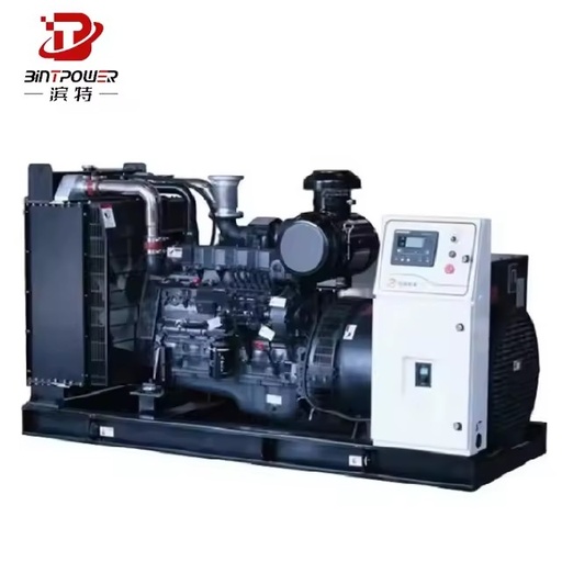250kva 200kw 50hz/60hz 380v/400v Water Cooling Liquefied Petroleum Gas Biogas Natural Gas Generator Set