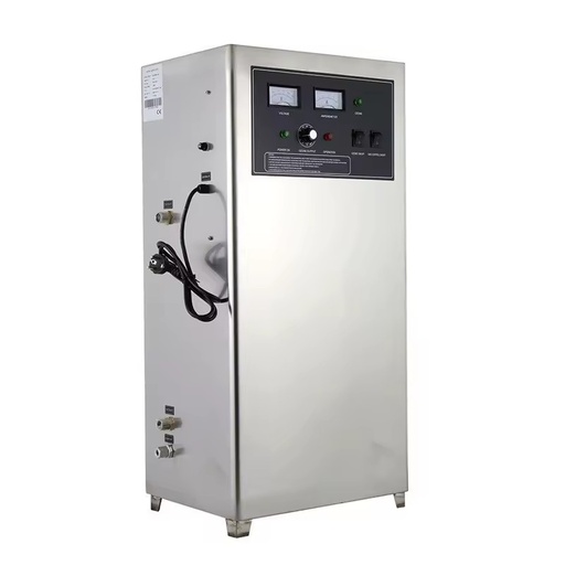 60W Industrial 3G 10G Ozone Generator Water Impurity Treatment Equipment Pure Water Treatment Machine