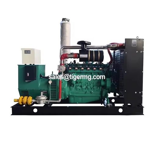250kva 200kw Natural Gas Generator Set, Biogas Natural Gas Liquefied Petroleum Gas Generator