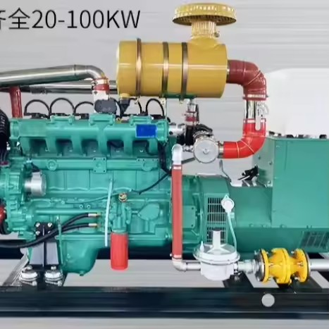 WODA Warranty Supported 100kW 120kW 150kw Gas Turbine Generator Silent Biomass Biogas 125kVA CHP Cogeneration LPG Generator 0.9