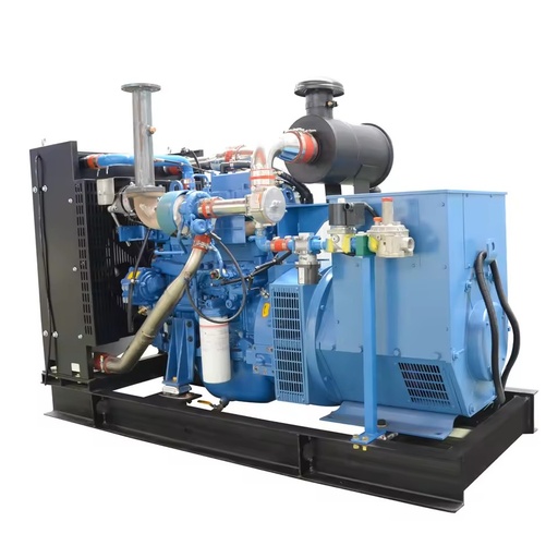 CE Approved 75kw Coal Gas Electricity Generation for Sale