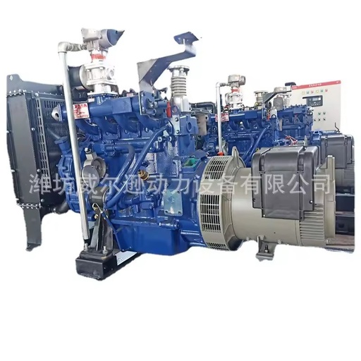 30kW Gas Generator Set Natural Gas Biogas Engine Power Equipment