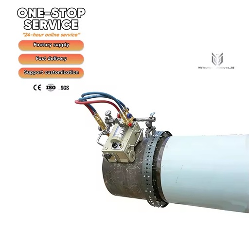 Customized CG2-11 High-Accuracy 220V Pipe Cutting Machine with Servo-Motor Gas Cutter for Sale