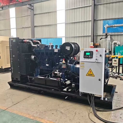 200kW 250kW High-quality Industrial Gas Generators for 24/7 Use