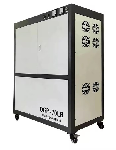 Industrial 10L 20L ~70L 100-Liter Oxygen Concentrator Gas Generation Equipment for Fish Farming