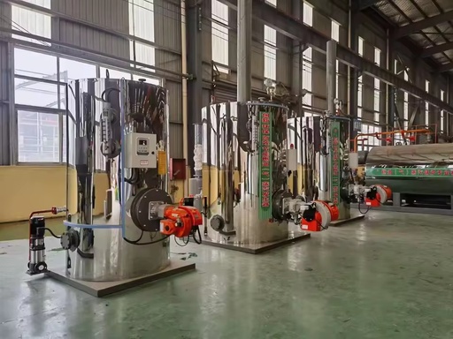 Horizontal Biomass Gas Steam Generator for Food Processing with Automatic Control System