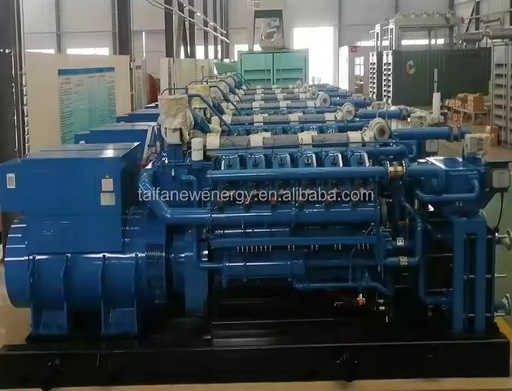 625KVA Brushless Excitation Type Natural Gas/Biogas Generator Set