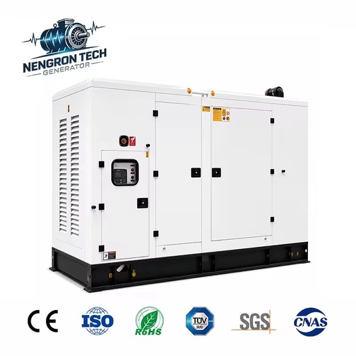 Green Energy Low-Carbon Economy 250kw 300kw Silent Type LPG Generator Natural Gas Generator Set