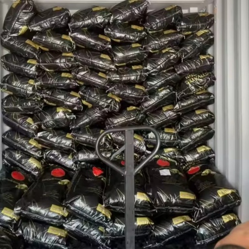 Wholesale Hotsale 2026 Premium Granular Factory Supply Coconut Shell Activated Carbon for Gold Mining with Stable Quality