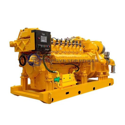 Methane LNG LPG Natural Gas Syngas Biogas Biomass Gas Continuous Power 30kVA 25kW Remote Start Generator