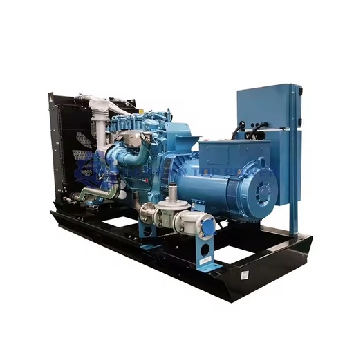 High-quality Power Natural Gas Biomass Gas Syngas Biogas Generators-High Efficiency Low Energy Consumption Easy