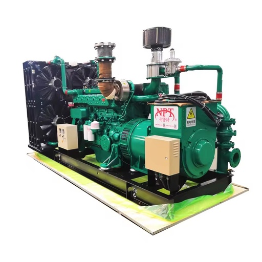 260 kW 325 Kva 50/60 Hz Plant Natural Gas Generator Price