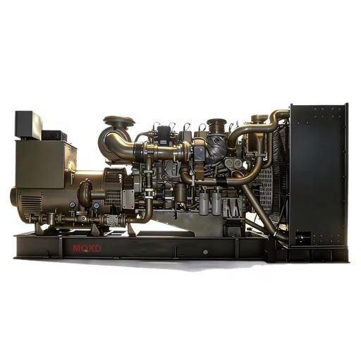 Gas Generation Equipment 800KW 1000Kva Multi Fuel Generator NG Biogas LPG CNG Ready OEM CHP System Local Fuel Available