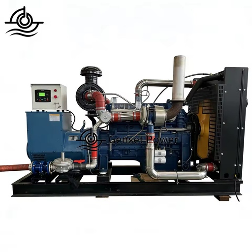 Heavy Duty Biogas Generator 300kW 500kW 700kW 1MW Air Cooling Biogas Plant with 95% Efficiency and Multi-Voltage Compatibility