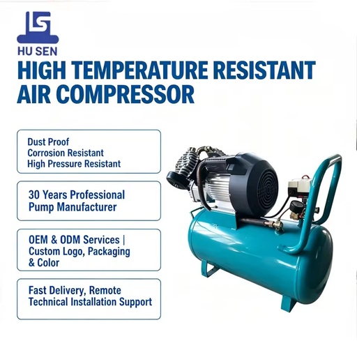 Industrial Portable Double Cylinder Piston AC 220V Single-Phase 2.2KW Lubricated Pump Motor Core Air V2047-50L