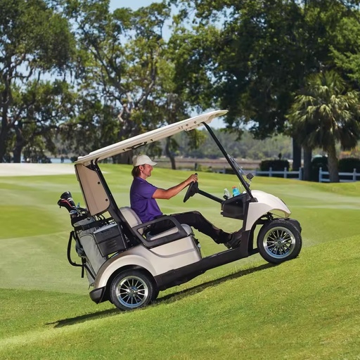 Customizable 3-4 Seater Electric Golf Cart with Lithium Battery 4-7KW Motor 70km/h Speed 90km Range CE Certified