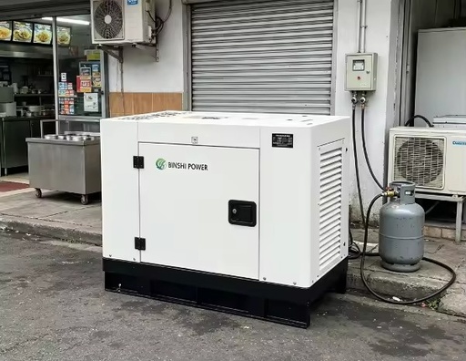 10kw 15kw 20kw Silent Natural Gas Generator Remote Start DC Electric Start Portable LPG Biogas Generator