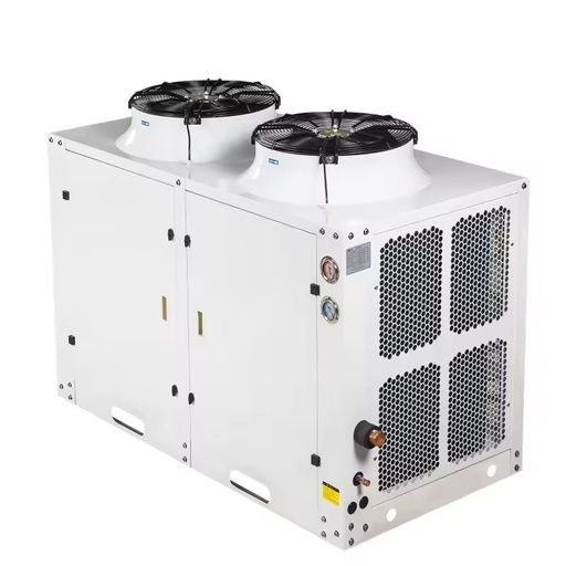 Vertical Cabinet Top Blow Air Cooling Condensing Unit Energy Saving Refrigeration Condenser Equipment