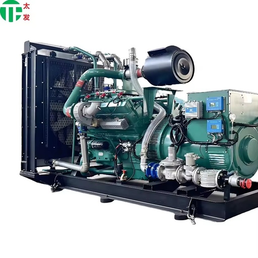 50/60HZ Biogas Plant Generator Set 380KW 475KVA Container Methane/Oil Field Associated Gas Natural Gas Fuel 220V/240V Rated