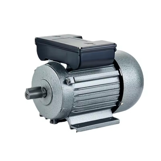 Customizable Single-Phase Motor Dual Capacitor Iron Shell Manufacturer National Standard YL Asynchronous Motor for Hand Tool