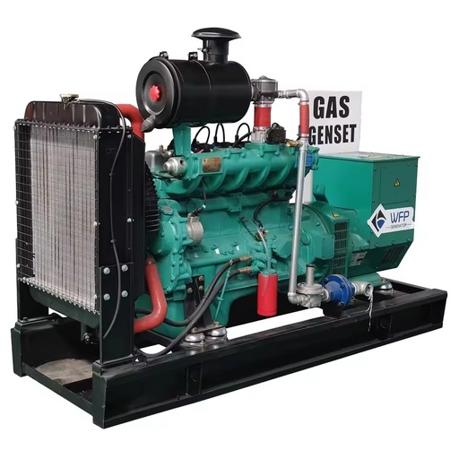 30kw 40kw 50kw 60kw 100kw 200kw LPG Biogas Natural Gas Biogas Generator
