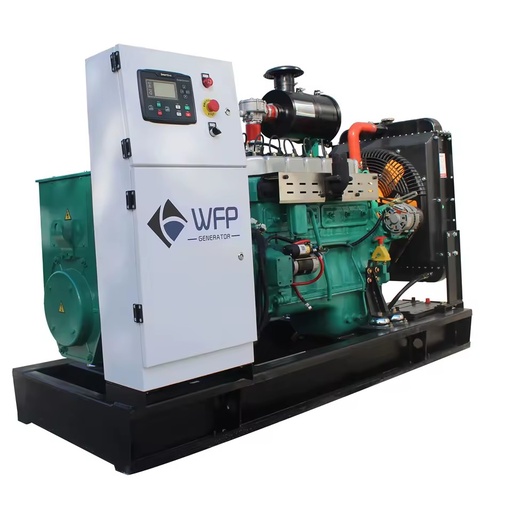 High Cost-effective Gas Generator 100kw 150kw 200kw Natural Gas/Biogas Generator Manufacturer