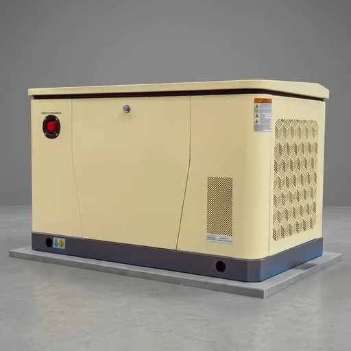 12kW Gas Backup Generator for Residence NG LPG Dual Fuel Auto Start Easy Setup Optional Installation Stand