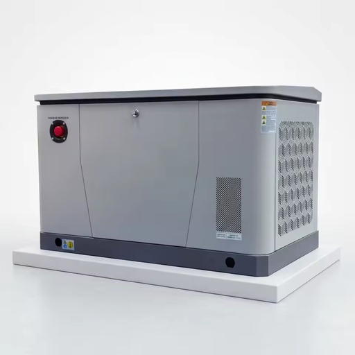 12kW Residential Gas Backup System NG LPG Dual Fuel Auto Start Easy Setup Optional Multi Use Support Base