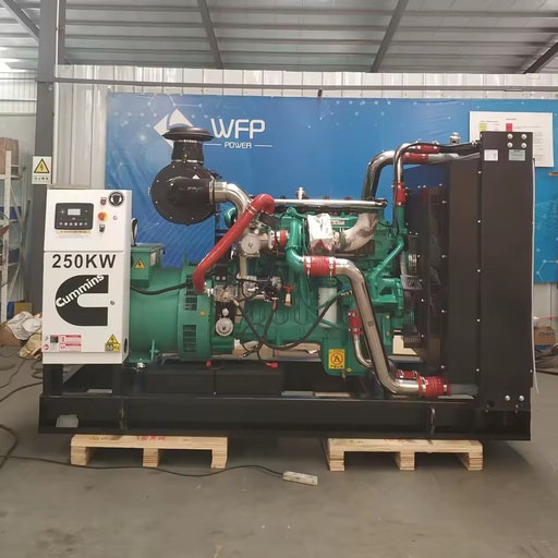 Cummins 250kwBIOGAS Gas Generator High-power Outdoor Windproof and Rainproof Heat Dissipation Explosion-proof Device