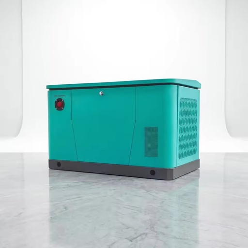 12kW Residential Natural Gas Generator LPG Dual Fuel Smart Auto Start Ground Wall Roof Installation Solution