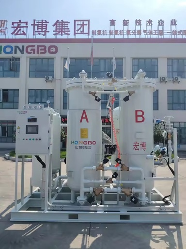 PSA Nitrogen Generator Industrial Gas Production Equipment