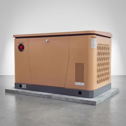 8kW Gas Powered Home Generator Natural Gas LPG Dual Fuel Automatic Start Quick Installation Multi Location Use