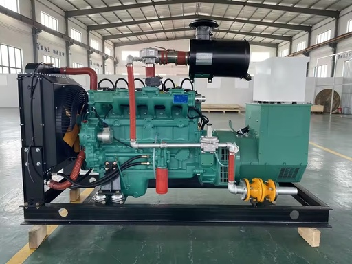 Gas Generator Set 40 kW 50 75 LPG CNG Auto Start ATS Sets Bio Natural 50/60hz