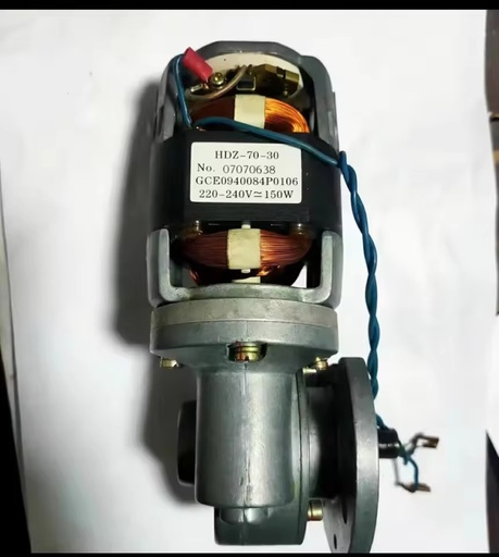 HDZ-70-30/HDZ-20502/VD4 Energy Storage Motor DC220V150W/200W