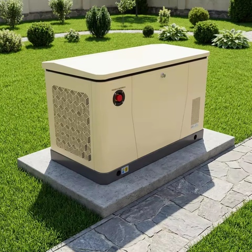 8kW Standby Gas Generator for Home NG LPG Dual Fuel Smart Auto Start Flexible Ground Wall Roof Installation