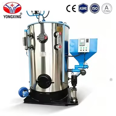 Fast Steam Output Biomass Steam Generator Multi Fuel Available Wood Sawdust Pellet Fired Steam Generator