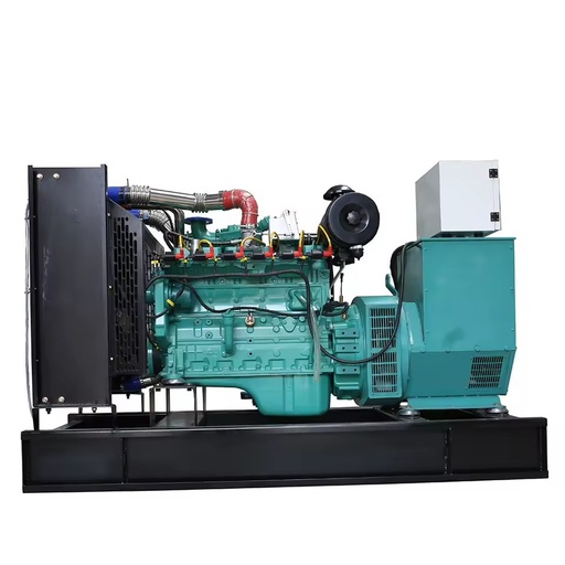 10kw 20kw 30kw Closed Water-cooled 3-Phase Syngas Biogas Generator Set 50Hz/60Hz 400V/230V High Efficiency Industrial