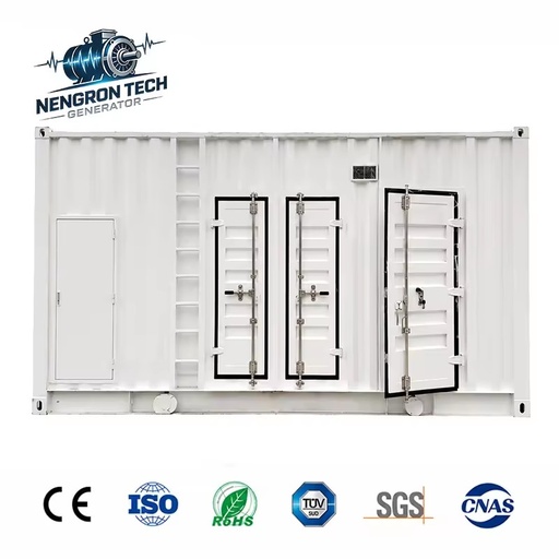 Container Gas Genset 300kW 500kW Dongfeng Cummins Power Anti-rust Anti-corrosion Canopy for Coastal Industrial Project