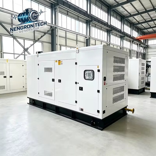 CE Certified Enclosed Natural Gas Generator for Hotel Backup Power and Professional Hospitality Energy Solutions