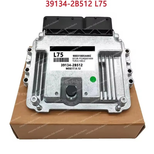 Plc Car Engine Computer Board 39134-2B512 L75 MEG17.9.12 Fit For Bulk Supply