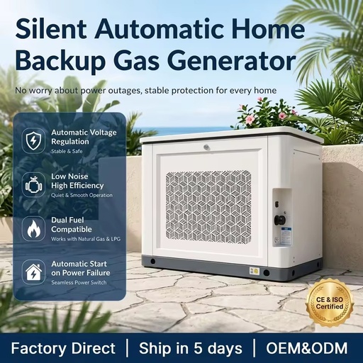 18kW / 22kVA Residential Gas Generator Natural Gas LPG Dual Fuel Automatic Backup Power 500 Hours Load Tested